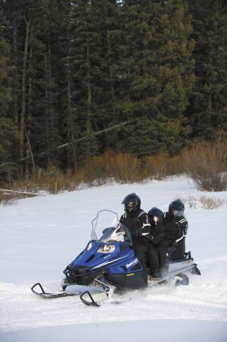 1145_bearcat3up_action_0249.jpg