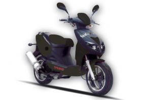WHIP_BLACK.jpg